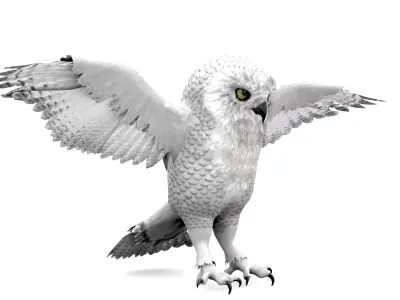 White Owl Rigged Animated Free low-poly 3D model