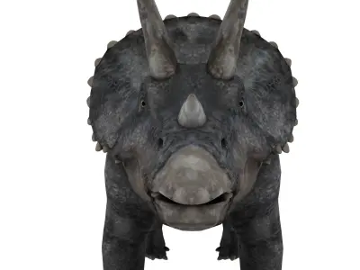 triceratops dinosaur Low-poly 3D model 3