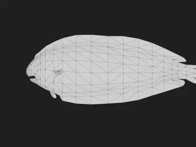 Flatfish Low-poly 3D model get