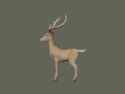 Deeer 3D model purchase