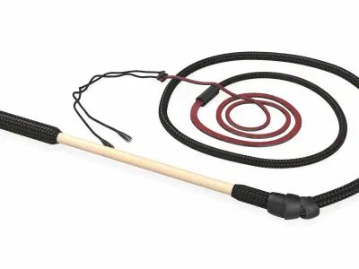 Historical Leather Whip Coiled Black 3D model