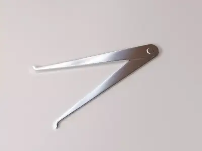 Inside Caliper 3D model