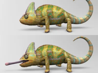 Chameleon Color 3D model