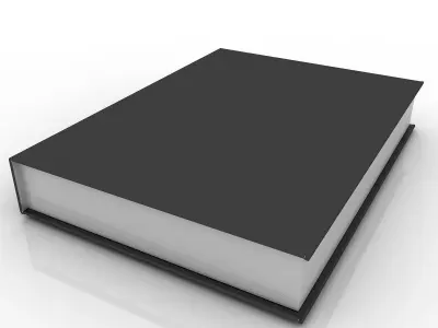 Black Book 3D model