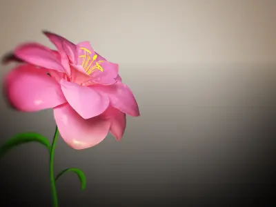 Animated Flower Blooming Flower 3D model purchase