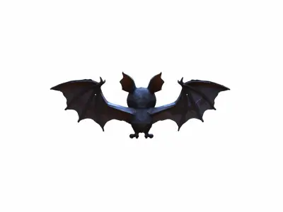 High 3d Render Animal Little Brown Bat Flying 3D model purchase