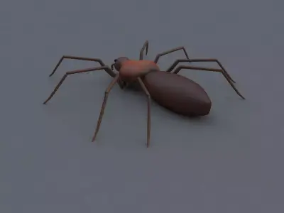 Spider Low-poly 3D model 7