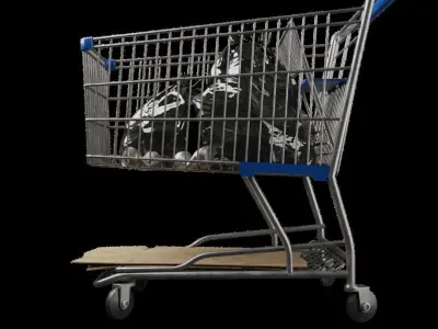 Shopping Cart high quality 3D model
