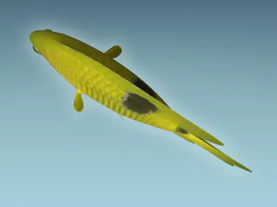 Yellow Fish 3D model