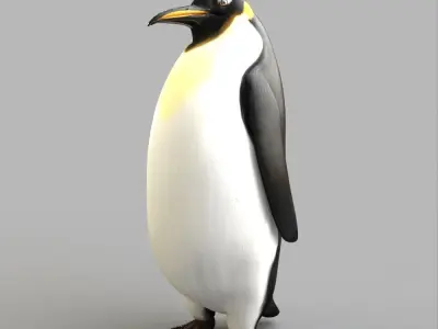 Penguin Plus Animation Low-poly 3D model