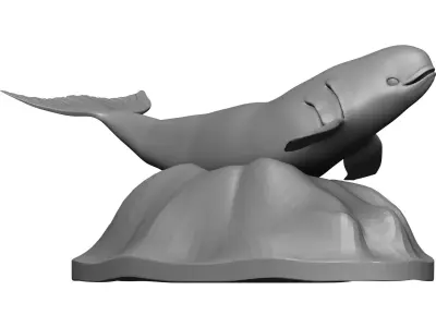 Whale 3D model get