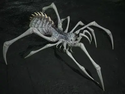 Spider 5 with long legs Low-poly 3D model