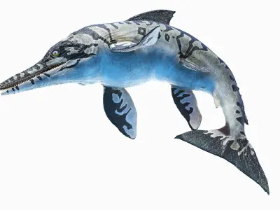 Ichthyosaur Animated 3D model