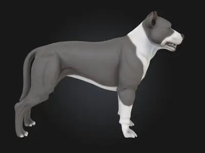 Smiling Pup Cute Dog Model  3D model