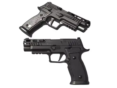 P320 AXG PRO 3D print model