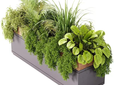 Indoor plant- 20 metall  and wooden in box on stand 3D model