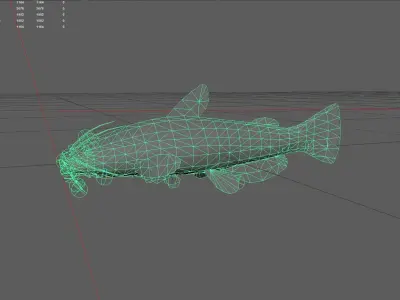 Catfish Low-poly 3D model 5