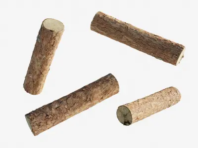 Scanned coniferous firewood Low-poly 3D model