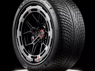 MICHELIN Pilot Alpin 5 315 30 R21 105V 3D model