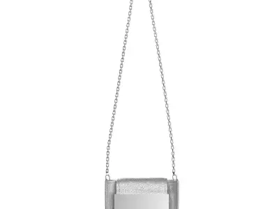 Silver Leather Mini Cross Bag 3D model