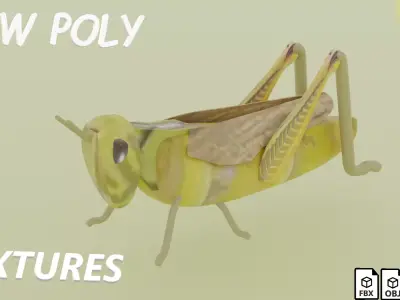 grasshopper Low-poly 3D model purchase