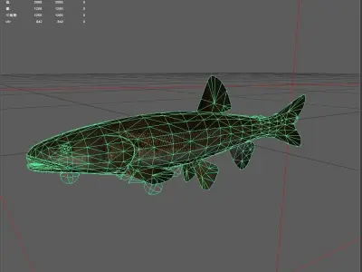 Carp fish Low-poly 3D model