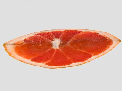 Slice of a Grapefruit 3D model