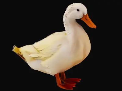 poultry 3D model