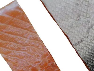 salmon steak Low-poly 3D model purchase