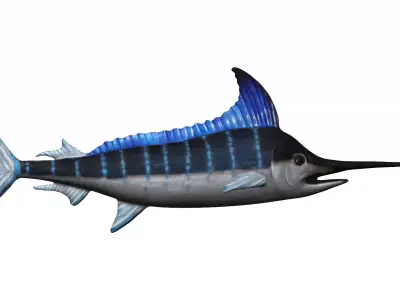 Merlin swordfish Low-poly 3D model
