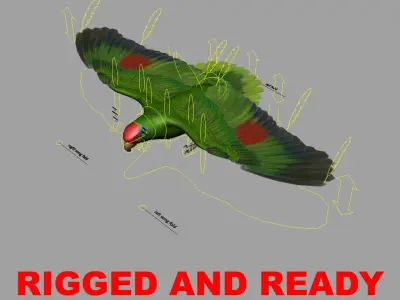 Amazona Viridigenalis 'Red-crowned Amazon Parrot' 3D model