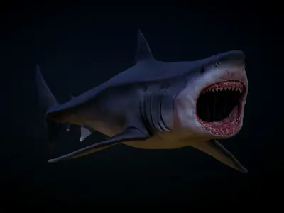 Megalodon  3D model