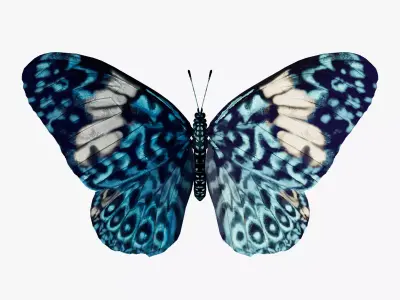 Butterfly Blue Cracker 3D model