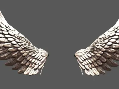 Serafim Wings 1 3D model