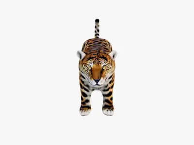 Jaguar Free 3D model