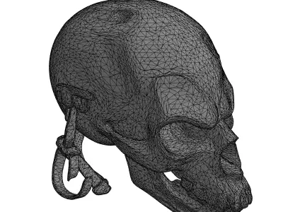 Rusty Metal Skull Mask Low-poly 3D model