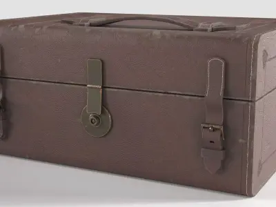 Old Apothecary Medicine Case Low-poly 3D model