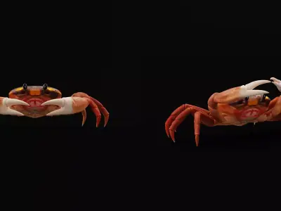 Halloween Moon Crab Free 3D model