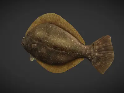 Sea Fish Low-poly 3D model get