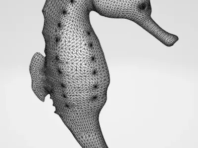 Seahorse 3D Model  Low-poly 3D model