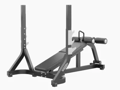 Technogym Olympic Declined Bench Pure 3D model
