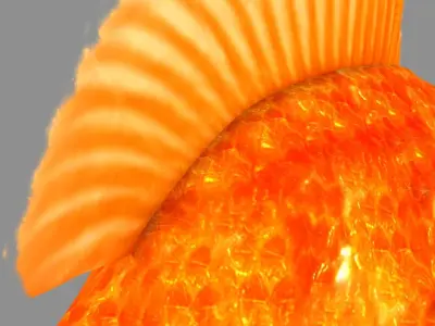 Gold Fish 3D model purchase