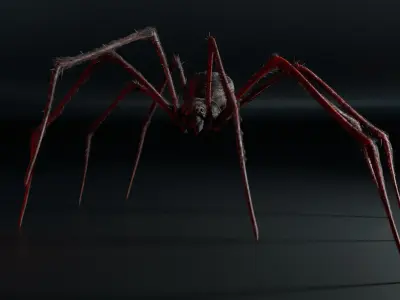 Giant Spider 3D model purchase