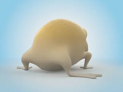 Desert Rain Frog 3D model