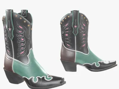 Eagle Star Cowboy Green Boots 3D model