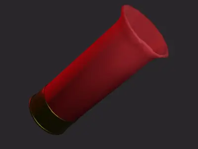 Shotgun Shells 3D model