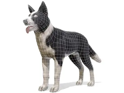 Dog - Border Collie 3D model