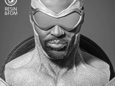 Wicked Marvel Falcon Portrait Bust  3D print model