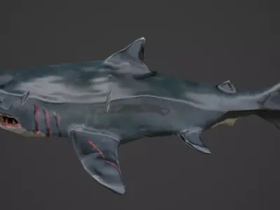 Stylized Low Poly Shark Game Ready Model Low-poly 3D model