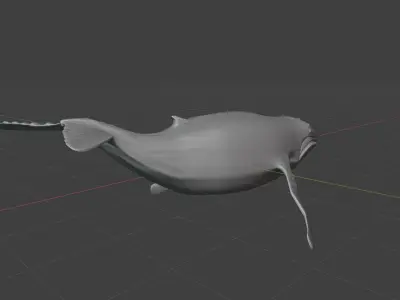 Humpback whale 3D model buy